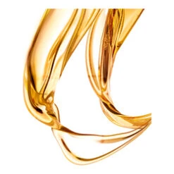 Leonor Greyl Huile De Magnolia -Living Proof Store Huile De Magnolia add1 5188 4939 general