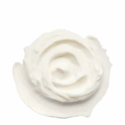 Whish Moisture Replenishing Day Cream With Bakuchiol -Living Proof Store Moisture Replenishing Day Cream with Bak 71096 2122 general